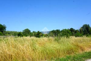TER. AGRICOLO A MONTECORVINO ROVELLA