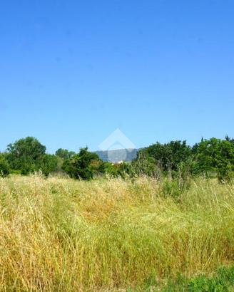 TER. AGRICOLO A MONTECORVINO ROVELLA