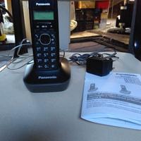 Telefono cordless Panasonic KX TG1611JTH