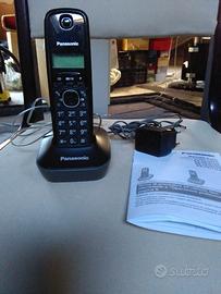 Telefono cordless Panasonic KX TG1611JTH