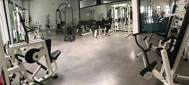 Palestra