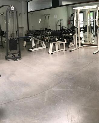 Palestra