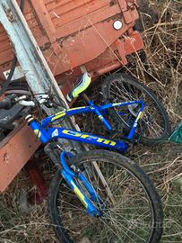 Bicicletta GFM