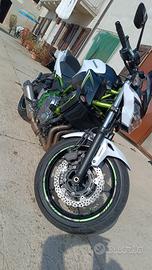 z650 ribassato 