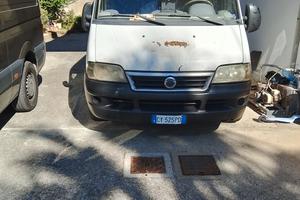 ducato coibentato 