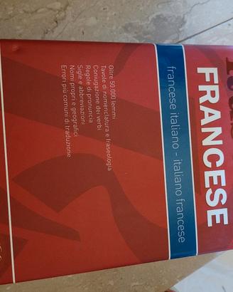 dizionario francese