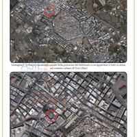 Ufficio Noci [A4346514]