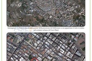 Ufficio Noci [A4346514]