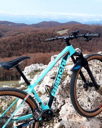 bianchi nitron 
