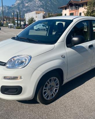 Panda 1.0 FireFly Hybrid - UNICA !!!