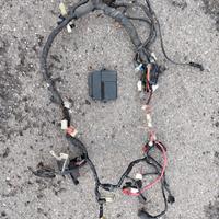 Cablaggio e centralina Yamaha R1 02-03