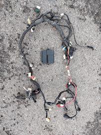 Cablaggio e centralina Yamaha R1 02-03