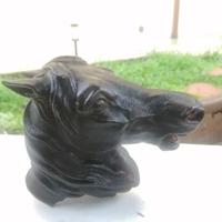 Testa di cavallo antica 