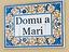 Immagine 7