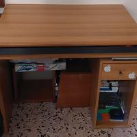 2 Scrivanie +2 cartelline 