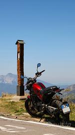 benelli Leoncino 500 - 2019