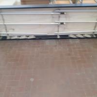 insegne con neon negozio