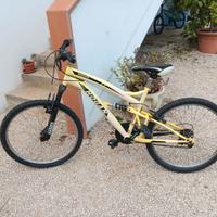 bici Hogan mtb