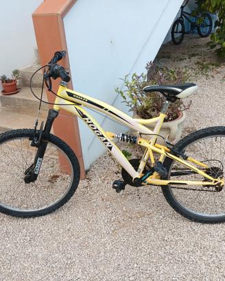 bici Hogan mtb