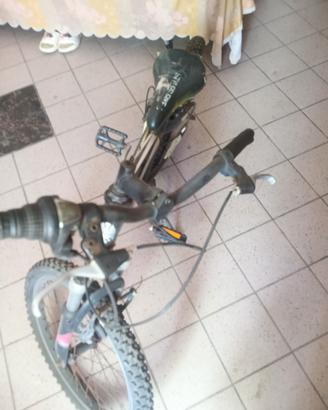 bici 20 perfettamente funzionante 