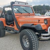 Jeep Wrangler 4.0 cat Hardtop Limited anno 91