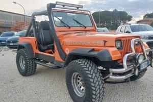 Jeep Wrangler 4.0 cat Hardtop Limited anno 91
