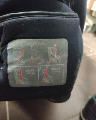seggiolini auto