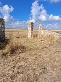 Terreno agricolo