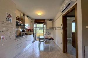 TAGLIO DI PO: Casa a schiera