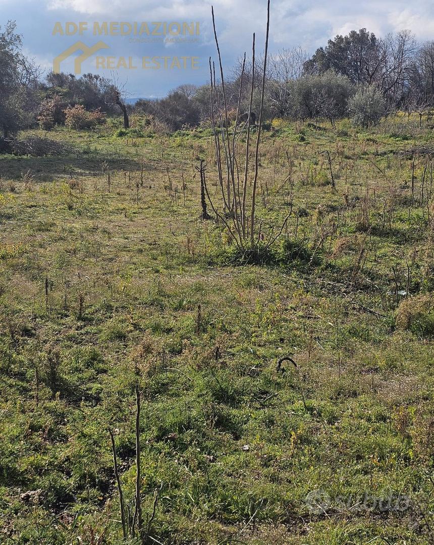 Terreno Panoramico Con Rudere - Vista 3