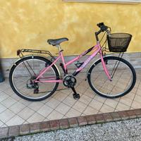 Citybike da 24 per Ragazza ZANELLA Cicli con marc
