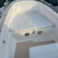 Zar 65 classic JOHNSON 140 4T