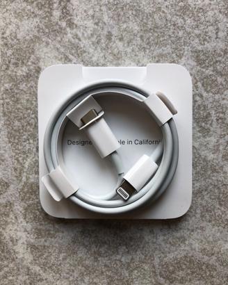 Apple Cavo da USB C a Lightning (1 m)