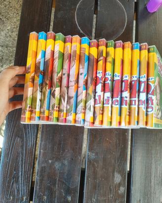 Pippi Calzelunghe - Collezione DVD "Le avventure"