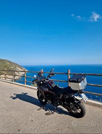 MOTO MORINI 