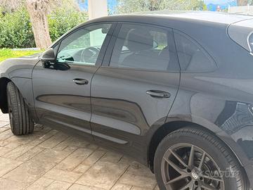 macan t