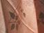 Immagine 6