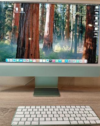 Apple iMac 24" 256GB SSD 
Chip M1
8 GB RAM
