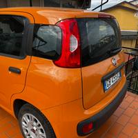 Panda 1000 Hybrid immatricolata 2020