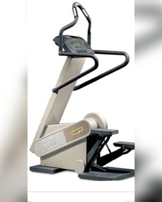 Step xt Technogym usato