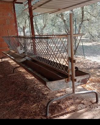 mangiatoie ovicaprini