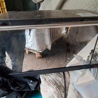 Fornetto elettrico Bimar