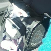 zaino trasportino varie aperture 