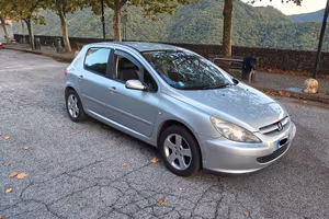 Peugeot 307 5 porte 1.6 XSI