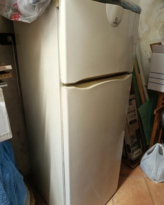 frigo 