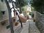 Immagine 6