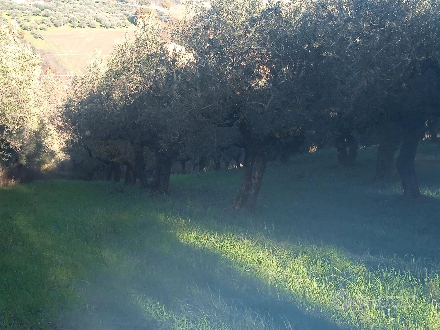 Terreno agricolo - Vista 3