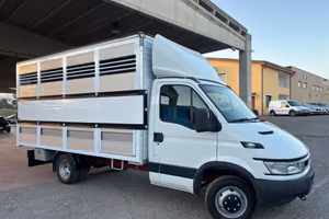 Iveco Daily 35c13 trasporto animali patente B