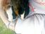 Immagine 1