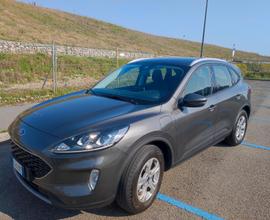 FORD Kuga 3ª serie - 2022